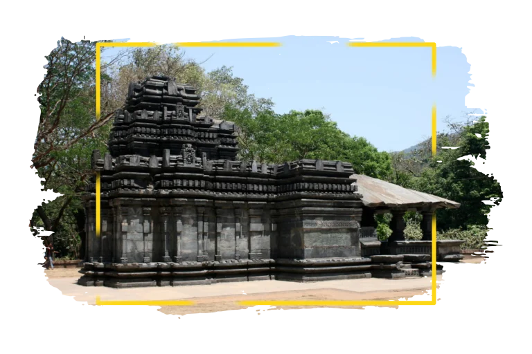 tamdi-surla