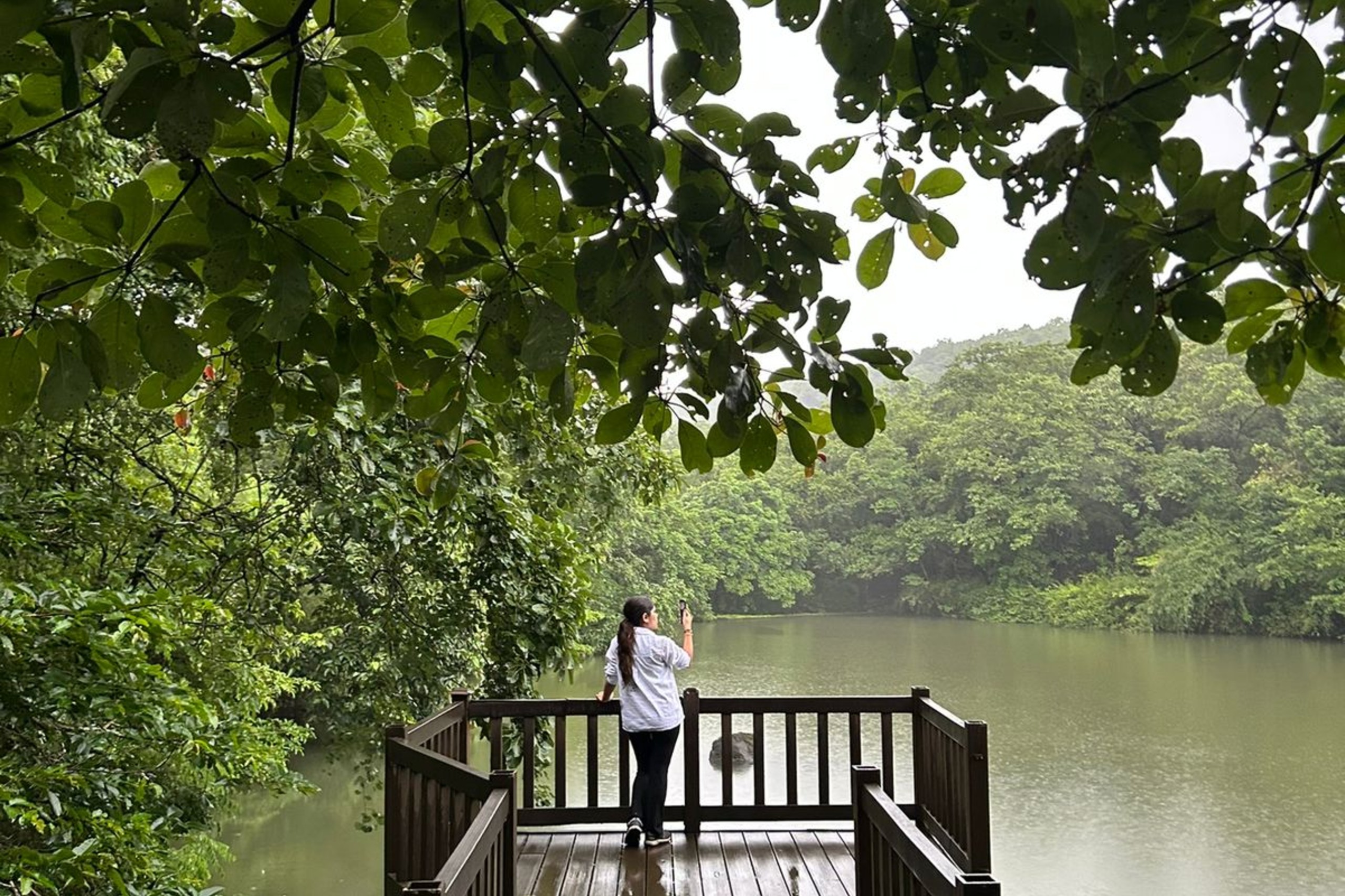 Crocodile Pond
